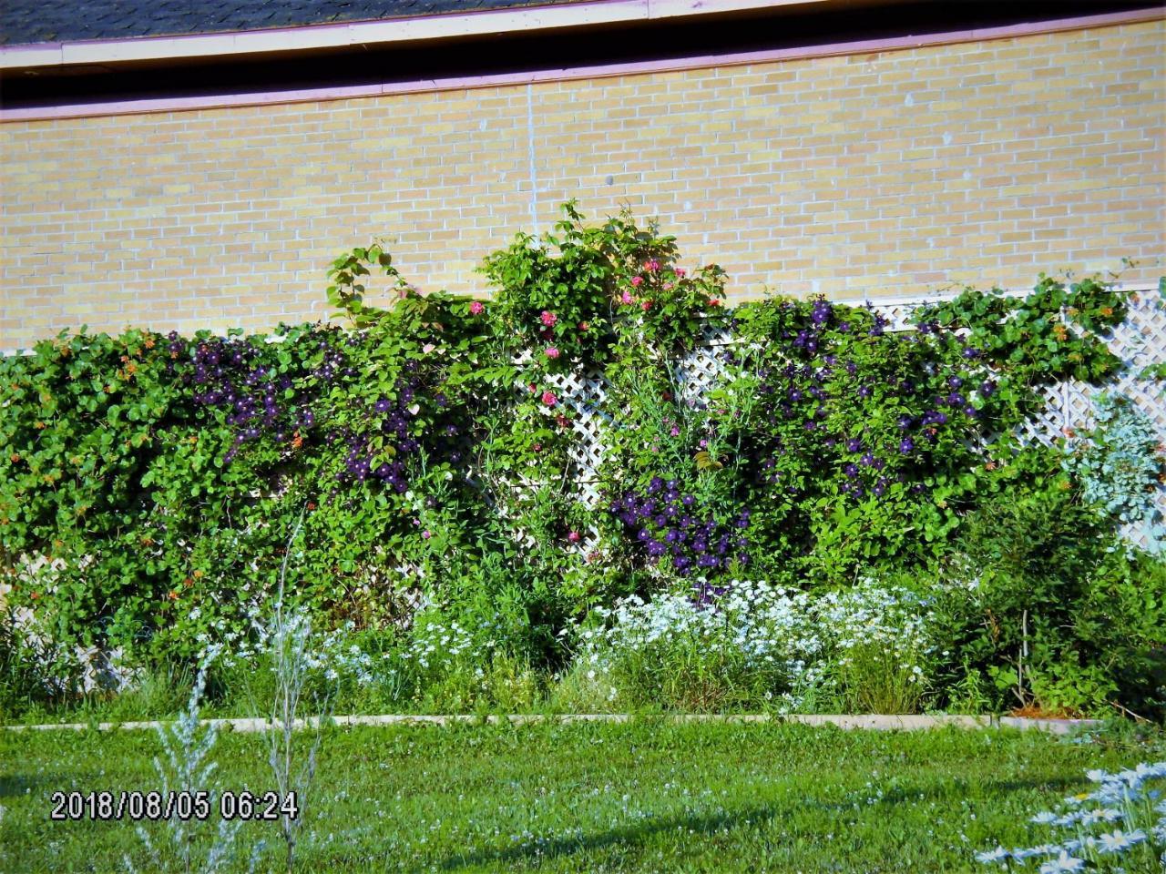 Auberge Internationale La Vieille Ecole Sainte Anne-des-Chênes Exterior foto